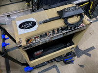 Peavey - Delta Blues II