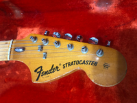 Fender - Stratocaster