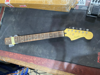 Squier - Jazzmaster Neck