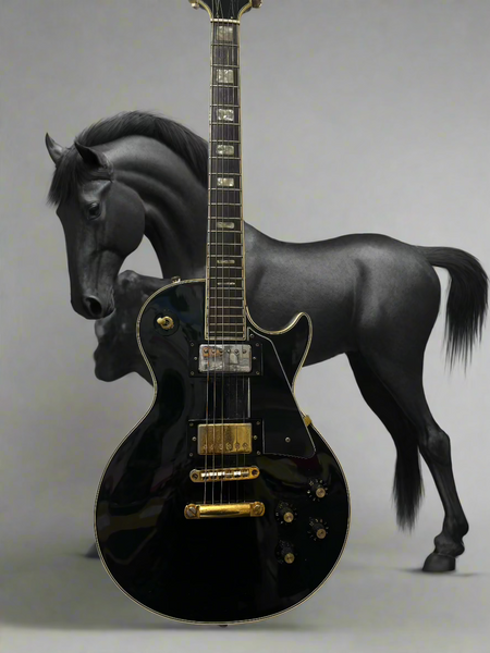 Esquire - Les Paul Custom Copy