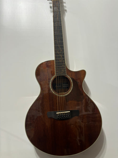 Ibanez - AE2412-NT