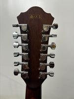 Ibanez - AE2412-NT