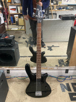 Washburn - T12