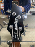 Washburn - T12