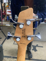 Washburn - T12