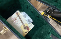 Martin - D-16GT