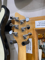 Washburn - BT-4
