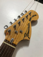 Fernandes - Burny Custom