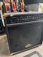 Washburn - WA30