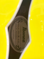 Ibanez - AS63