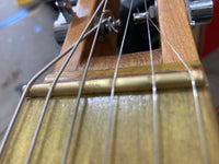 JL - Acoustic/Electric Lapsteel