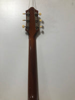 Epiphone - Blackstone