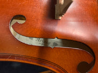 Arioso - Viola
