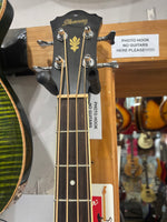 Ibanez - Acoustic Bass-AEB8E