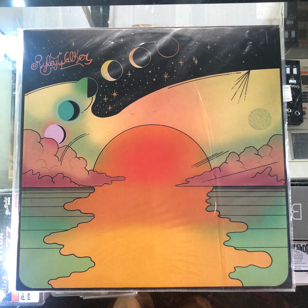 Ryley Walker - Golden Sings That Have Been Sung