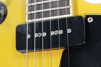 Blitz by Aria Pro II - Leopard – musicswopshop