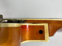 Gretsch - 6120