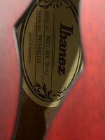 Ibanez - AM-53 5B-03