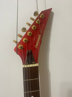 Fernandes - Limited Edition Super Strat
