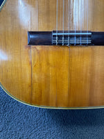 Framus - 5/31