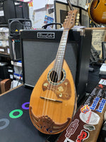 Kuni Shima - No. 105 Mandolin Bowl Back