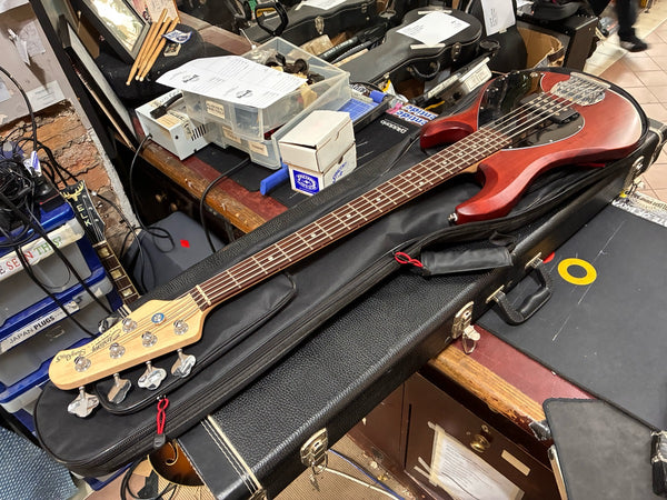 Sterling by MusicMan - Stingray 5