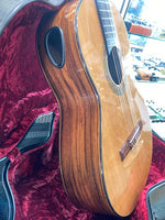 William Falkiner - Lutherie