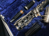 Amati Kraslice - ACL-201