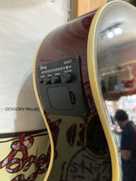 Ibanez - AEG8E