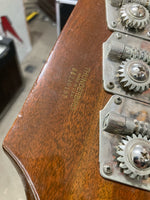 Gibson - Thunderbird