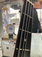 Gibson - Thunderbird