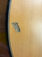 Maton - EBG808C