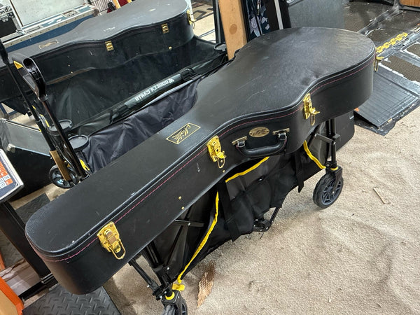 Maton - Dreadnought Case