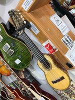 Agustin - Mamani Charango