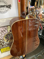 Washburn - D-10S