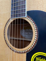 Washburn - D-10S