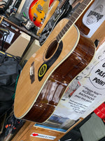 Washburn - D-10S