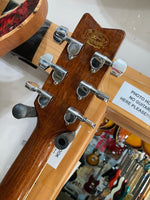 Washburn - D-10S