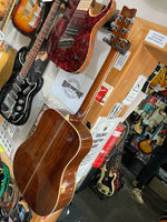 Washburn - D-10S