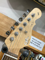 G & L - Will Ray Tribute