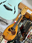 Suzuki - M-100