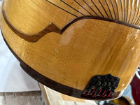 Suzuki - M-100