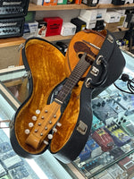 Suzuki - M-100