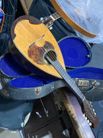 Watanabe - Bowl Back Mandolin