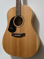 Maton - M225