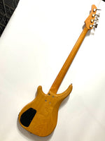 Fernandes - FRB-70