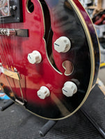 Aria / Hoyer - Hollowbody Archtop