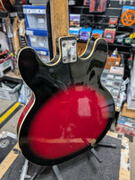 Aria / Hoyer - Hollowbody Archtop