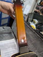 Goldtone - LS-6 Lap Steel