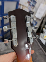 Goldtone - LS-6 Lap Steel